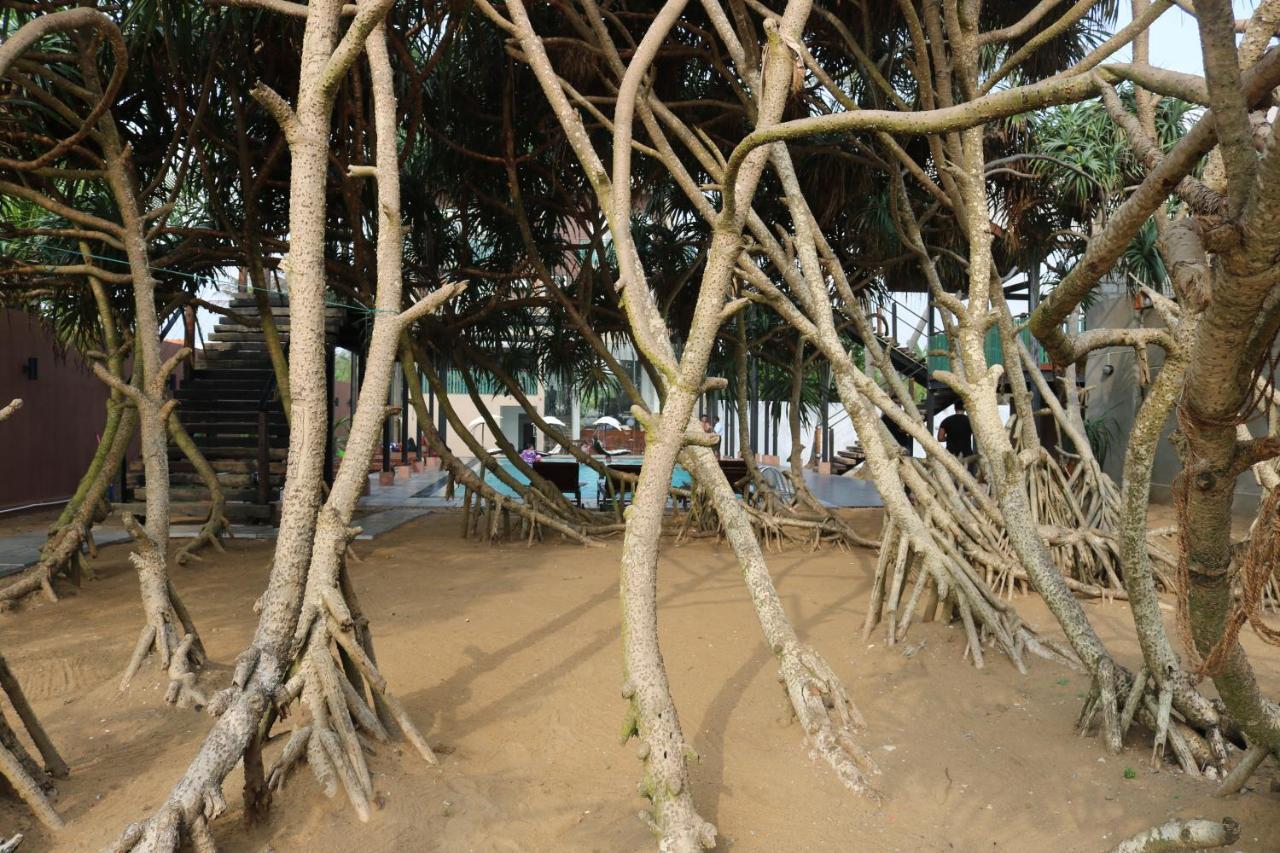 Saprin Beach Resort Uswetakeiyawa Exterior photo